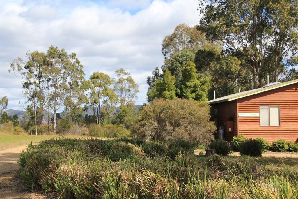 Twin Trees Country cabañas Pokolbin Exterior foto
